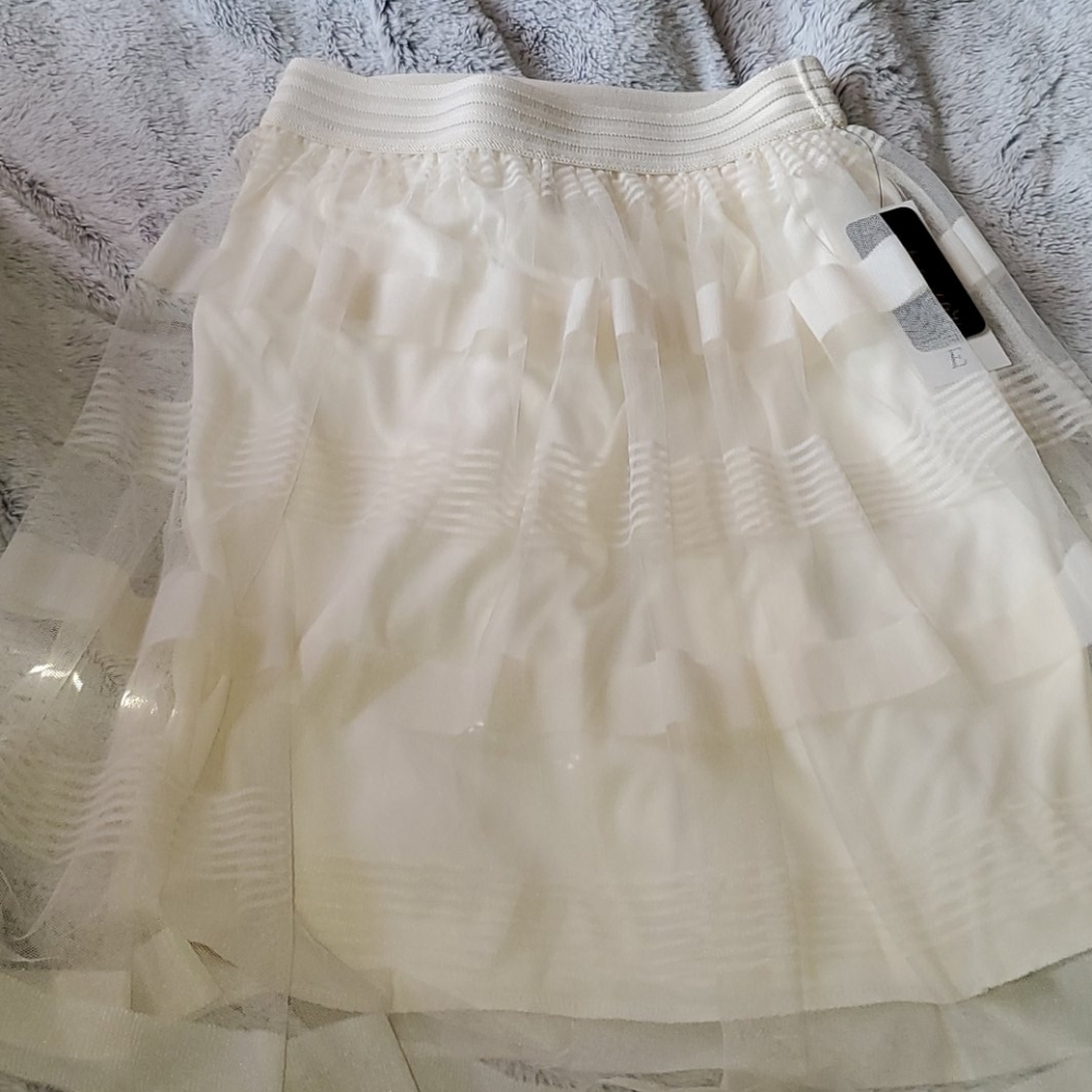 Sheer panel tulle skirt